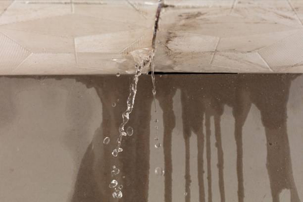 Professional Structural Drying technician working in Webster, FL
